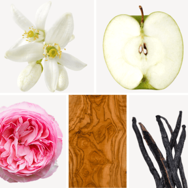 Duftnoten: Orangenblüte, Apfel, Pfingsrose, Olivenholz, Vanille